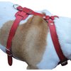 Genuine Leather Dog Harness, 29"-37" Chest, 1" Wide Straps, Doberman, Pitbull, Bullterrier