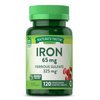 Ferrous Sulfate Iron Supplement | 65 mg | 120 Tablets | Non-GMO, Gluten Free | by Nature's Truth
