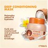 ETNIKER Deep Conditioning Mask | Afro-textured, Curly &amp; Wavy hair | Detangle, Soften &amp; Moisturize | Coconut Oil, Shea Butter &amp; Monoi Oil | Free from Salt, Sulfates, and Parabens | Size: 10.5oz (300g)