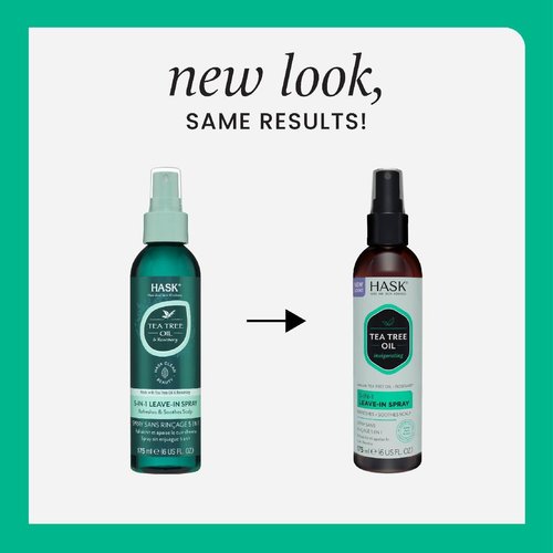 HASK Invigorating TEA TREE OIL 5-in-1 Leave In Conditioner Duo (6oz-Qty 2) & Deep Conditioner Packette, Aluminum-Free, Sulfate-Free, Paraben-Free, Color Safe, for All Hair Types