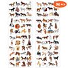 Horse Temporary Tattoos for Kids Birthday Party Supplies Favors 96PCS Tattoos Stickers Super Cute Gifts Party Decorations Girls Boys Classroom School Prizes Themed