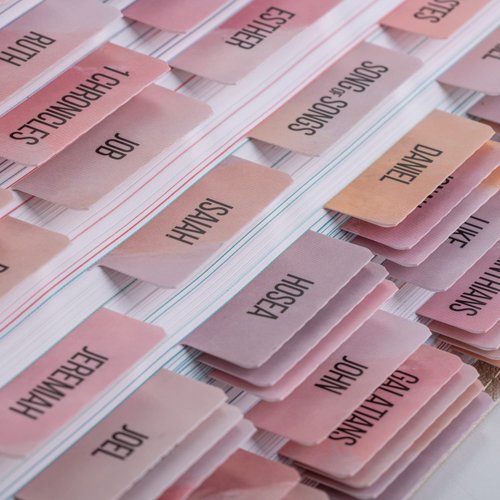 DiverseBee Laminated Bible Tabs (Large Print, Easy to Read), Bible Journaling Supplies, Bible Book Tabs, Christian Gift, 66 Bible Tabs Old and New Testament, Includes 11 Blank Tabs (Boho)