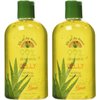 Lily Of The Desert Gelly Moisturizer - 99% Organic Aloe Vera Gel for Skin, After Sun Care with Aloe, Vitamin E Oil, and Vitamin C for Sunburn Relief, 12 Fl Oz (Pack of 2)
