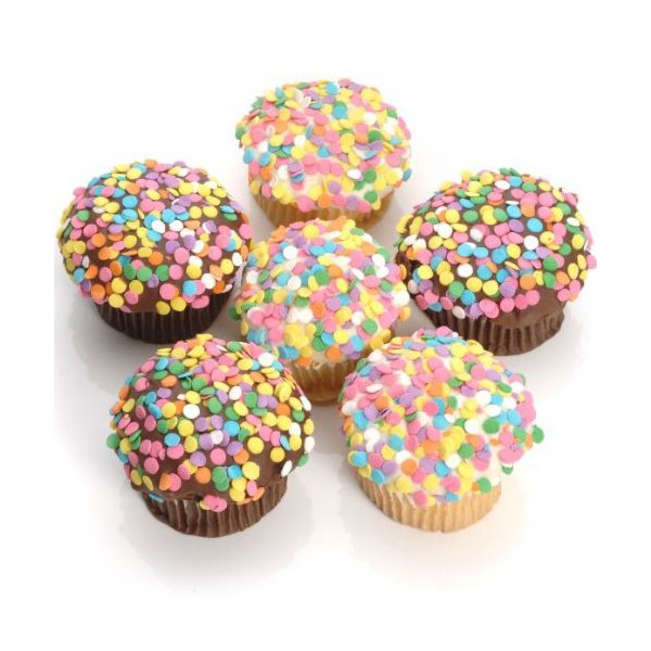 Confetti Belgian Chocolate Gourmet Cupcakes- 6 Pack