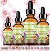 Botanical Beauty Organic PLUM OIL French. 100% Pure Natural Virgin Unrefined Undiluted Cold Pressed Carrier Oil. For Face, Skin, Hair, Body, Lips, Nails 4 Fl.oz - 120 ml