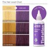 Kiss Tintation Semi-Permanent Hair Color Treatment 148 mL (5 US fl.oz) (Orchid)