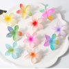 Nenluny 6pcs Flower Hair Claw Clips for Women Girls Nonslip Hair Claws Hawaiian Hair Styling Accessories for Women Hair Decorations