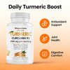 Biorootlabs Turmeric Curcumin Supplement - 95% Curcuminoids with Bee Propolis, Ginger & Black Pepper - Enhanced with Vitamin C (1pc)