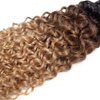20 22 24 Inch Ombre Bundles Human Hair T1B/4/27 Kinky Curly Bundles 3 Tone Brown and Honey Blonde Bundles Brazilian Grade 8A Virgin Human Hair Extensions Ombre Brown Kinky Curly Bundles