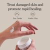 Attn: Grace Barrier Cream - Coconut Oil, Shea Butter, and Beeswax Protects Skin and Prevents Irritation - Promotes Rapid Healing for Damaged Skin - Dermatologist Tested, Talc Free , No Parabens