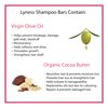 Lyness Sweet Orange Shampoo & Conditioner Bar Set | Organic & Natural | Eco-friendly, Plastic-free