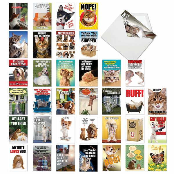 NobleWorks - 36 Assorted Funny Blank Animal Greeting Cards Box Set w/Envelopes, All Occasions Humor Friendship Notes for Men, Women (36 Designs, 1 Each), Our Pet Collection AC6654OCB-B1x36
