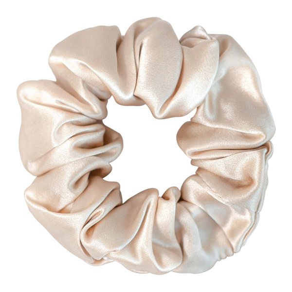 DAISYSILK 100% Mulberry Silk Hair Tie Silk Hair Scrunchies Hair Decoration Without Hair Damage Prevents Frizz 1pack, Champagne
