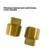 1/2" NPT Solid Brass Drain Plugs commonly Used in Boat Hulls, 2 Pack Solid Brass Boat Hull Spare Garboard Drain Plug for Bayliner Four Winns Glastron Larson Sea Ray Starcraft and Many Other Models