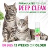TropiClean Berry Coconut Waterless Cat Shampoo | Deep Cleansing Dry Shampoo for Cats | Natural Cat Shampoo Derived from Natural Ingredients | Made in The USA | 7.4 oz.