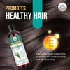 Rosemary Hair Growth Oil - 4 floz/120ml - Hair Oil For Hair Fall Control and Nourishment - Made with Castor Oil, Jojoba Oil, Grape seed Oil, Almond oil, Amla Oil and Bhringraj Oil