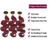 Feelgrace Ombre Bundles Human Hair 3 Pieces 300 Gram, 100% Brazilian Human Hair Extension 3 Bundles, Ombre 1B Burgundy Body Wave Bundles, 10A Soft Human Hair Weave Bundles 16 18 20 Inch