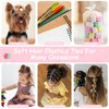 2500PCS Clear Elastic Hair Ties, Mini Hair Rubber Bands, Soft Hair Elastics for Women Girls, 30MM in Length & 2MM in Width