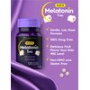 Carlyle Kids Melatonin 1mg | 120 Chewable Tablets | Fruit Flavor | Vegetarian Supplement | Non-GMO, Gluten Free Formula