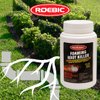 Roebic FRK-1LB Foaming Root Killer: Clear Pipes, Stop New Growth, Safe for All Plumbing - 1lb, White, Granules