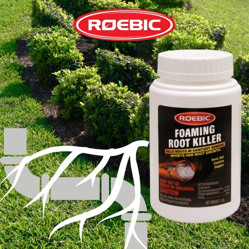 Roebic FRK-1LB Foaming Root Killer: Clear Pipes, Stop New Growth, Safe for All Plumbing - 1lb, White, Granules