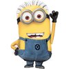 Anagram Despicable Me Minions Ultimate Birthday Party Balloon Bouquet Decorations