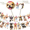 3Pcs Chihuahua Party Banner Chihuahua Dog Birthday Party Decorations Dog Party Supplies Chihuahua Birthday Cutout Banner for Pet Dog Theme Baby Shower Supplies
