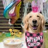 Dog Birthday Bandana - Girl Dog Birthday Hat with Number - Dog Birthday Supplies for Small and Medium Dog Pet