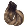 Clip in Hair Extensions, Human Hair 7Pcs 120g Clip in Extensions,Ombre Chocolate Brown to Honey Blonde Highlights Balayage Real Hair Extensions Clip in Straight Remy Human Hair Extensions 14 Inch