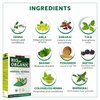 Indus Valley Bio Organic 100% Pure Indigo Powder & Henna Powder Hair Color Combo Kit | Herbal Henna & Indigo Powder Without Preservatives for Natural Hair Dyeing - 100 gm Each