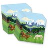 Wild Horses Birthday Party Supplies Set Plates Napkins Cups Tableware Kit for 16