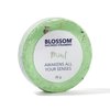 Blossom Aromatherapy Shower Steamers, Bath Bomb Tablets with Essential Oils for Stress Relief and Relaxation 4 Pack Box, Jasmine, Lavender, Mint and Eucalyptus
