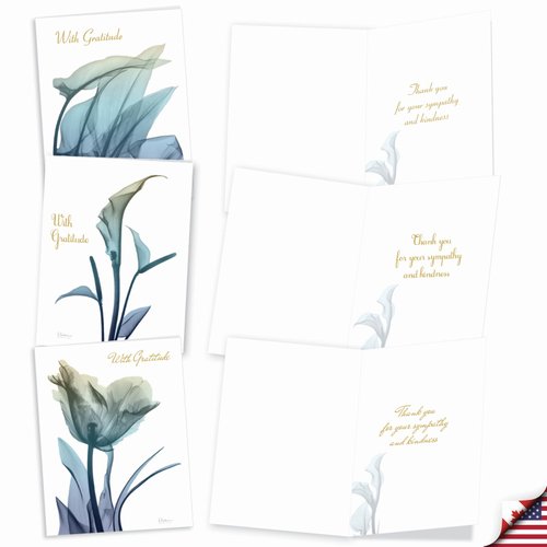 The Best Card Company - 10 Sympathy Thank You Cards (4 x 5.12 Inch) - Boxed Flower Condolence Gratitude - Blooming Expressions AM6221STG-B1x10
