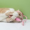 PtPade Cat Collar with Feather Toy Attached,Teasing Cat Toy,Cat Hat Design for Indoor Kitten Cats Play Chase
