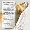 Ginger Chi Dry Brush for Skin, Dry Brushes for Body - Natural Bristle Brush for Dry Brushing Skin (Sisal Dry Brush)