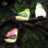 JZSTOM Solar Outdoor Lights Bird Garden Statues Decor,Bird Figurine Lights with Powered LED, Housewarming Birthday Gifts for Women, Mom (3 Pack)