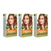 Nisha Cream Hair Color No Ammonia Cream Formula Fashion Highlights And Rich Bright Long-Lasting Colour Golden Brown (pack of 3)
