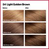 REVLON Colorsilk Beautiful Color Permanent Hair Color with 3D Gel Technology & Keratin, 100% Gray Coverage Hair Dye, 54 Light Golden Brown, 3 Pack