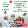 Lifeable Iron Gummies with Vitamin C - 20 mg - Great Tasting Natural Flavor Gummy Supplement - Gluten Free Vegetarian GMO-Free Chewable - for Iron Deficiency - for Adults, Men, Women - 90 Gummies