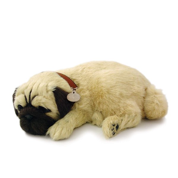 Original Petzzz Huggable Pug Puppy, Dog Toys for Kids and Elderly, Realistic Dog Stuffed Animals, Battery-Operated Stuffed Dog, Companion Interactive Pets with Synthetic Fur - Perfect Petzzz