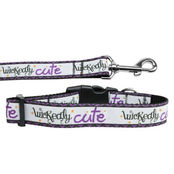 Halloween Pet Dog & Cat Nylon Collar or Leash, Wickedly Cute MD Collar