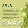 Banyan Botanicals Amla (Amalaki) Powder – Organic Phyllanthus Emblica – Natural Source of Vitamin C and Antioxidants – Supports Digestion and Cleansing* – 1/2lb– Non GMO Sustainably Sourced