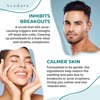 Ayadara Exfoliating Acne Scrub, 4 fl oz(118 ml), Exfoliating Acne Face Wash, Natural Facial Scrub for Severe and Hormonal Acne, Facial Acne Scrub for Teens, Women, Men, and Adults, 120-Day Supply