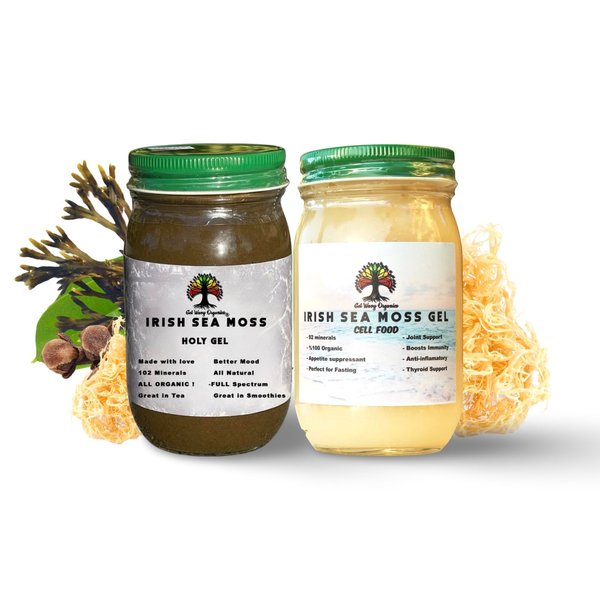 Wildcrafted Irish Sea Moss Gel | Made with Seamoss | Made in USA | Rich in Vitamins & Minerals | 100% Organic Gold Sea Moss Gel Raw (2 Pack)