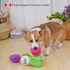 HugSmart | Hide and Seek Dog Toys (3-Pack Vegetables) | Interactive, Squeaky, Soft Plus, Crinkly Dog Toy for Small Medium Breeds (Yam, Bok Choy Radish)