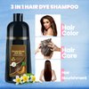 BOJICA KAISASA Chestnut Brown Coloring Shampoo, 3-in-1 Semi-Permanent Hair Color for Women & Men, Herbal Formula (17.6 FL OZ)
