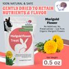 Snout and Shell Marigold Flower Treat for Small Pets – Organic, Healthy Digestive Support – Fun Foraging Snack for Rabbits, Guinea Pigs, Chinchillas, and More – 0.5 oz / 14g