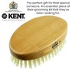 Kent Men's Oval Men Military Hair Brush, 100% Natural Black Boar Bristle for Mens Grooming Hair, Mustache and Beard, Scalp Brush, 360 Wave, Beard Straightener and Facial Brush. Made in England
