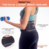 Copper Joe Back Brace for Lower Back Pain Relief, Back Support Belt Men and Women With Adjustable Black Velcro Lumbar Support Belt for Sciatica (Small/Medium)