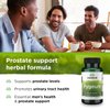 Swanson Pygeum - 100 Capsules, 125 mg Each - Herbal Supplement for Male Prostate Health, Bladder, and Urinary Tract Support